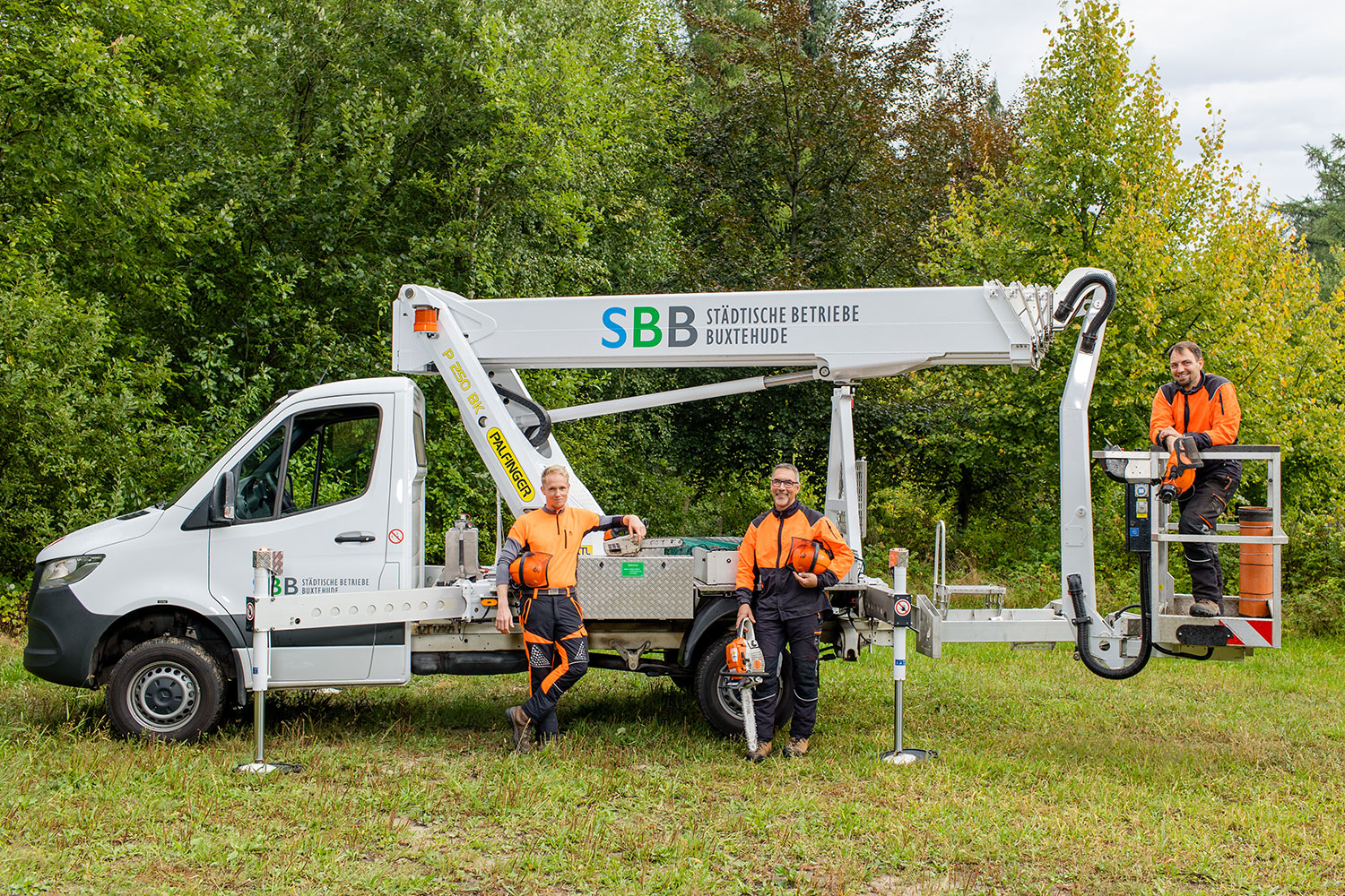 Team Bereich Baumpflege